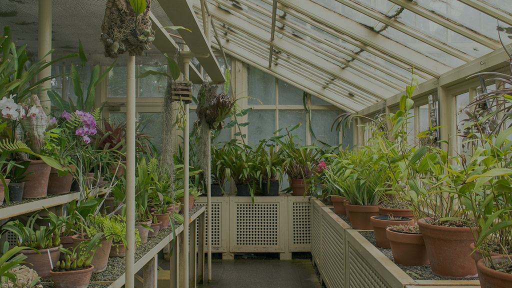 newly built greenhouse mahopac ny